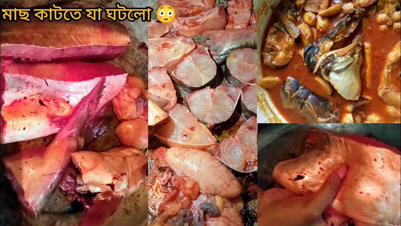 মাছ কাটা থেকে ঝোল পর্যন্ত 🔥 শেষটা দেখে চমকে যাবেন!#FishCurry#VillageCooking#FishCutting#CookingVlog