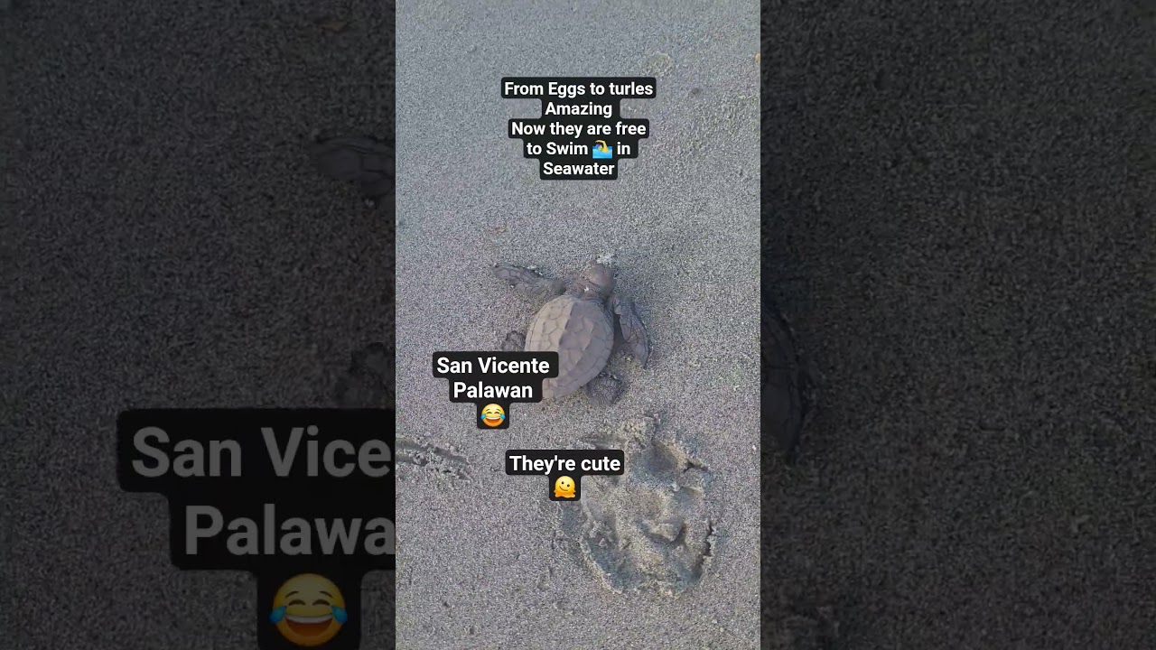 San Vicente Palawan 