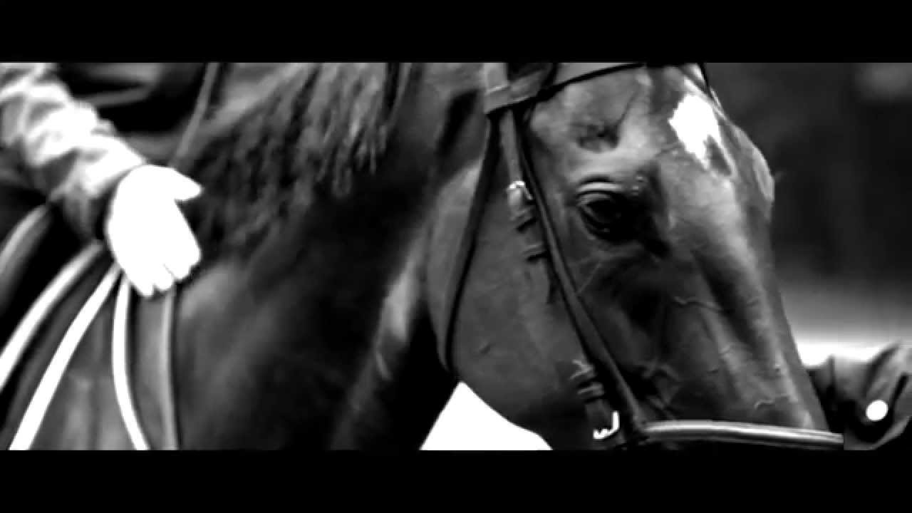 Fly Away Treve (Clip Officiel) : hymne de la championne Treve