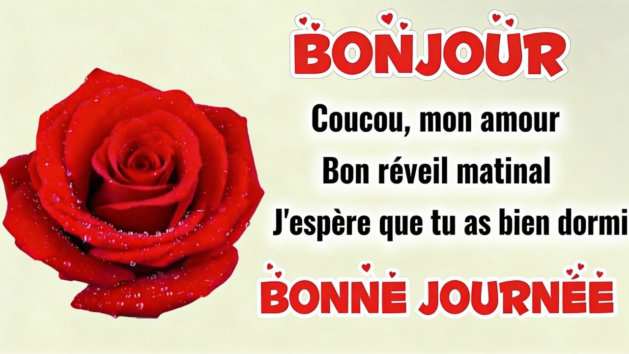 Bonjour mon amour,❤Tu es mon rayon de soleil, tu me manques tellement ❤ message d’amour pour toi💞