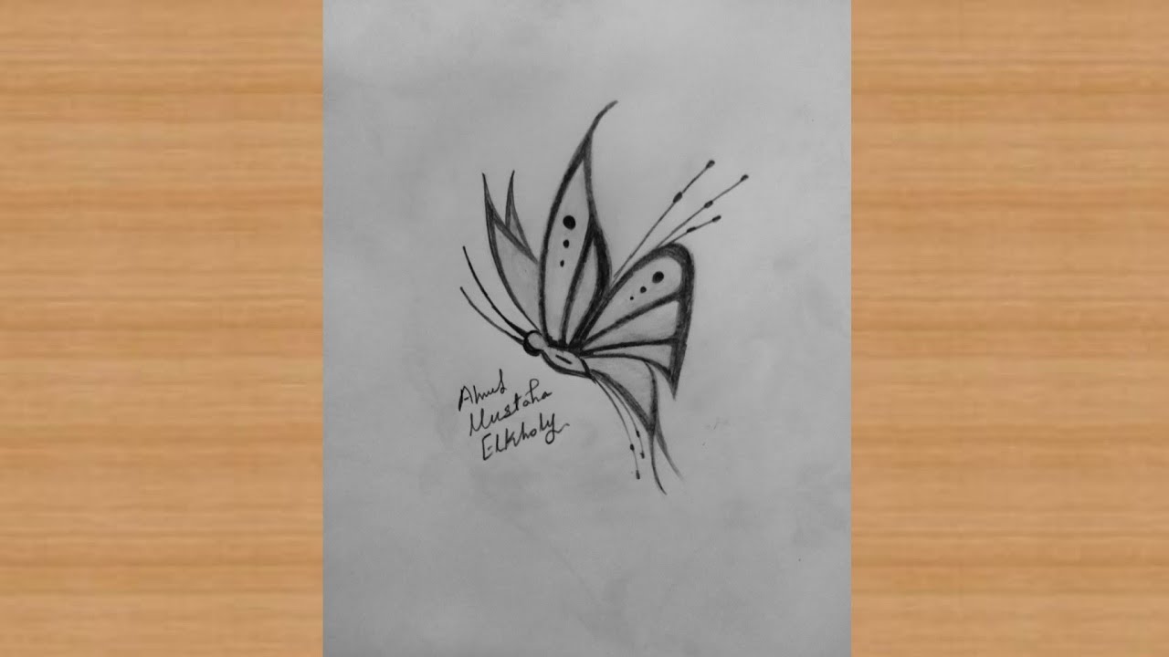 رسم فراشة || رسم فراشه || رسم فرشه بالرصاص || رسم فراشات || كيفيه رسم فراشة || طريقه رسم فراشه ||رسم