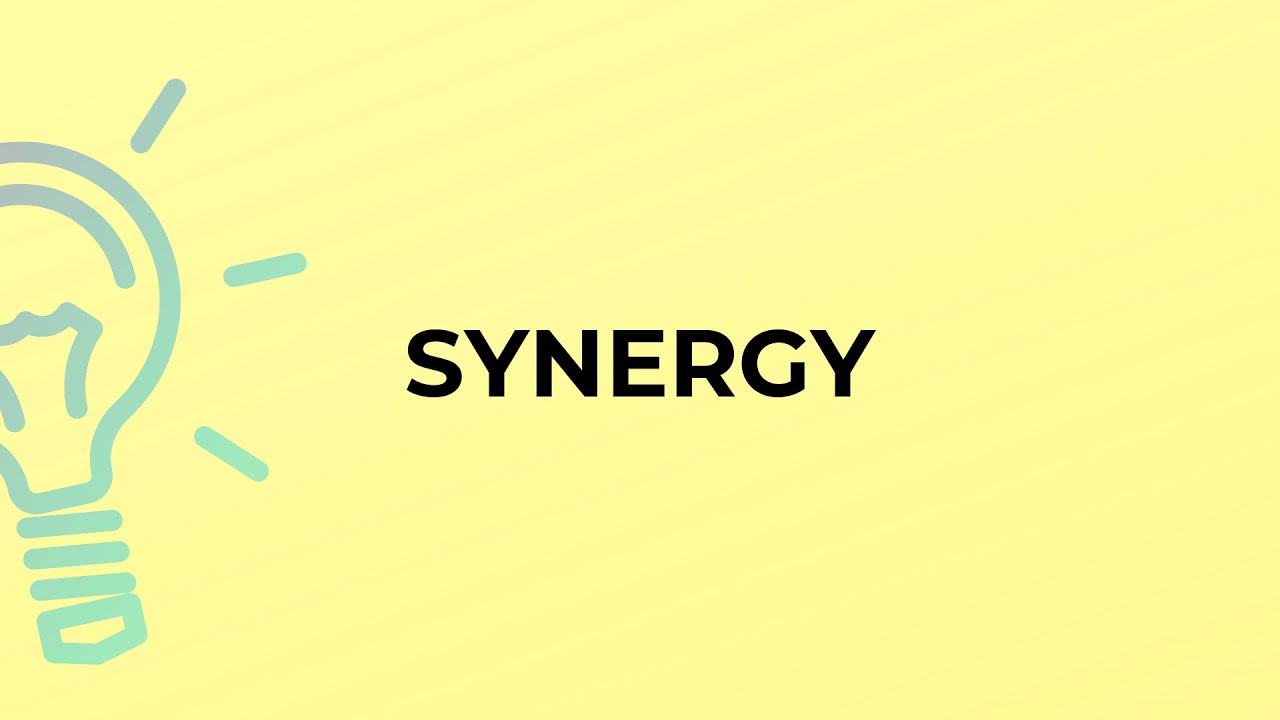 What is the meaning of the word SYNERGY?