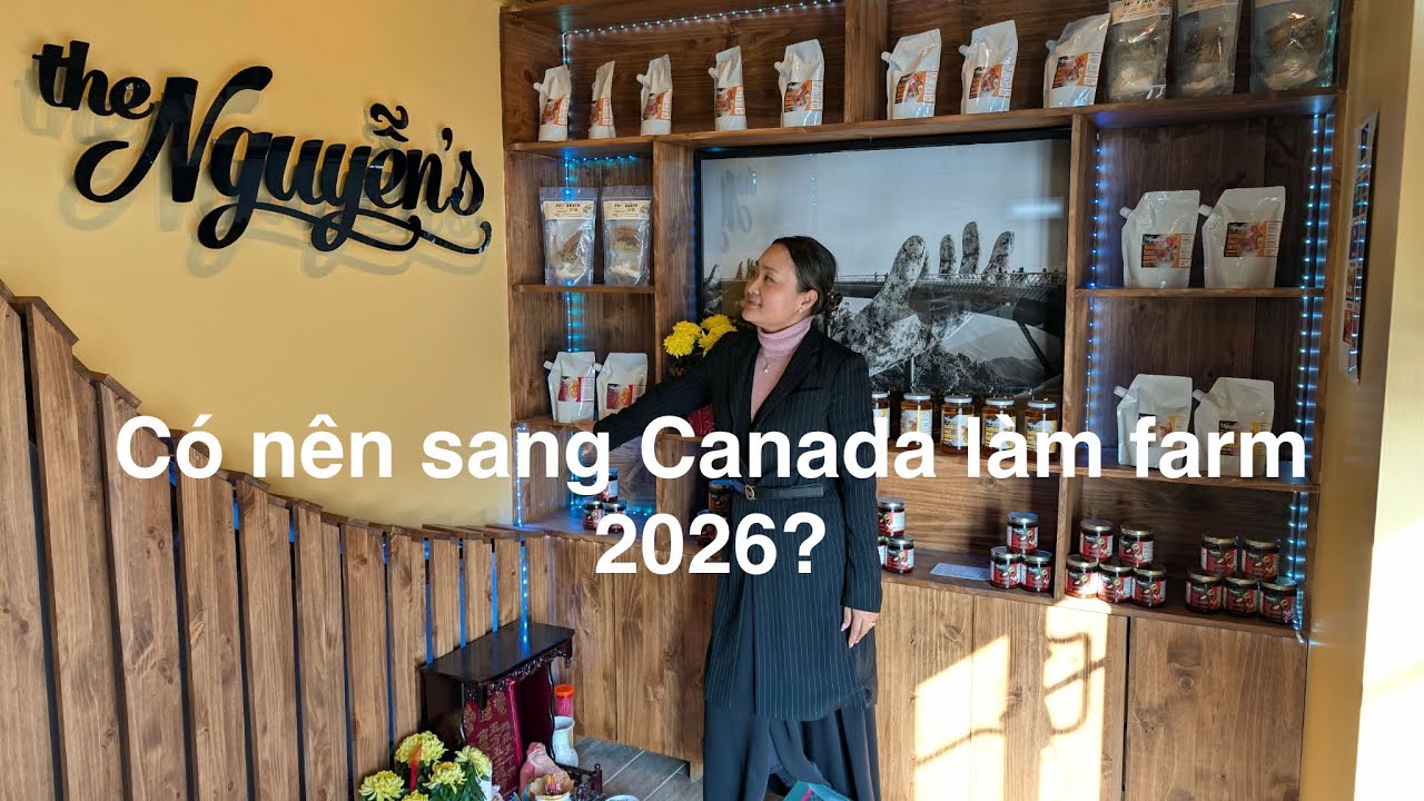 Sang Canada làm farm 2026 thì cần biết gì để không hối tiếc #hathenguyenscanada 