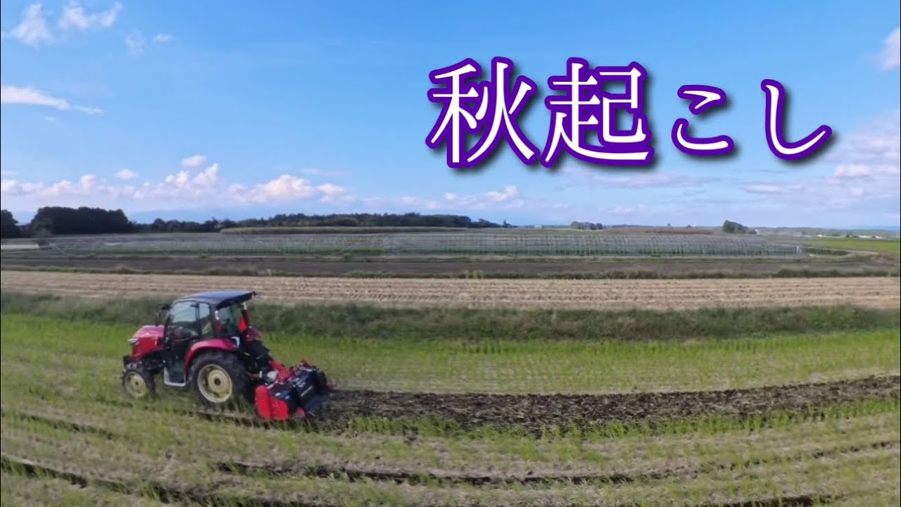 秋起こし