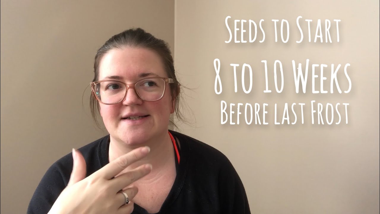 Seeds to Start 8 to 10 Weeks BEFORE Your Last Frost