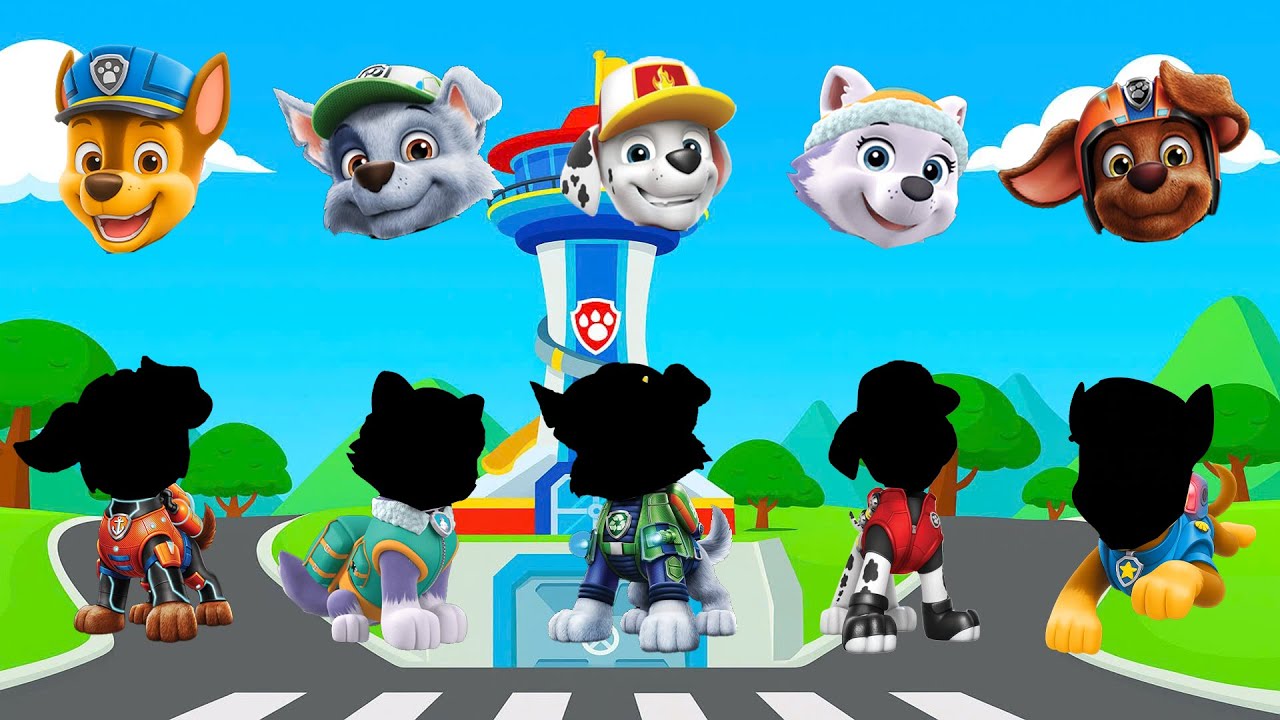Wrong eyes👀 PAW Patrol NEW EPISODES Compilation/ Rubble & Marshall - DAME TU COSITA Wrong Heads