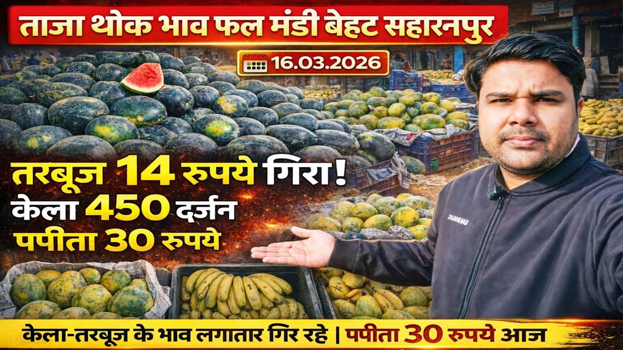 Vlogs👉ताजा थोक भाव फल मंडी बेहट सहारनपुर ! तरबूज का भाव फिर गिरा 14 रूपए किलो आज