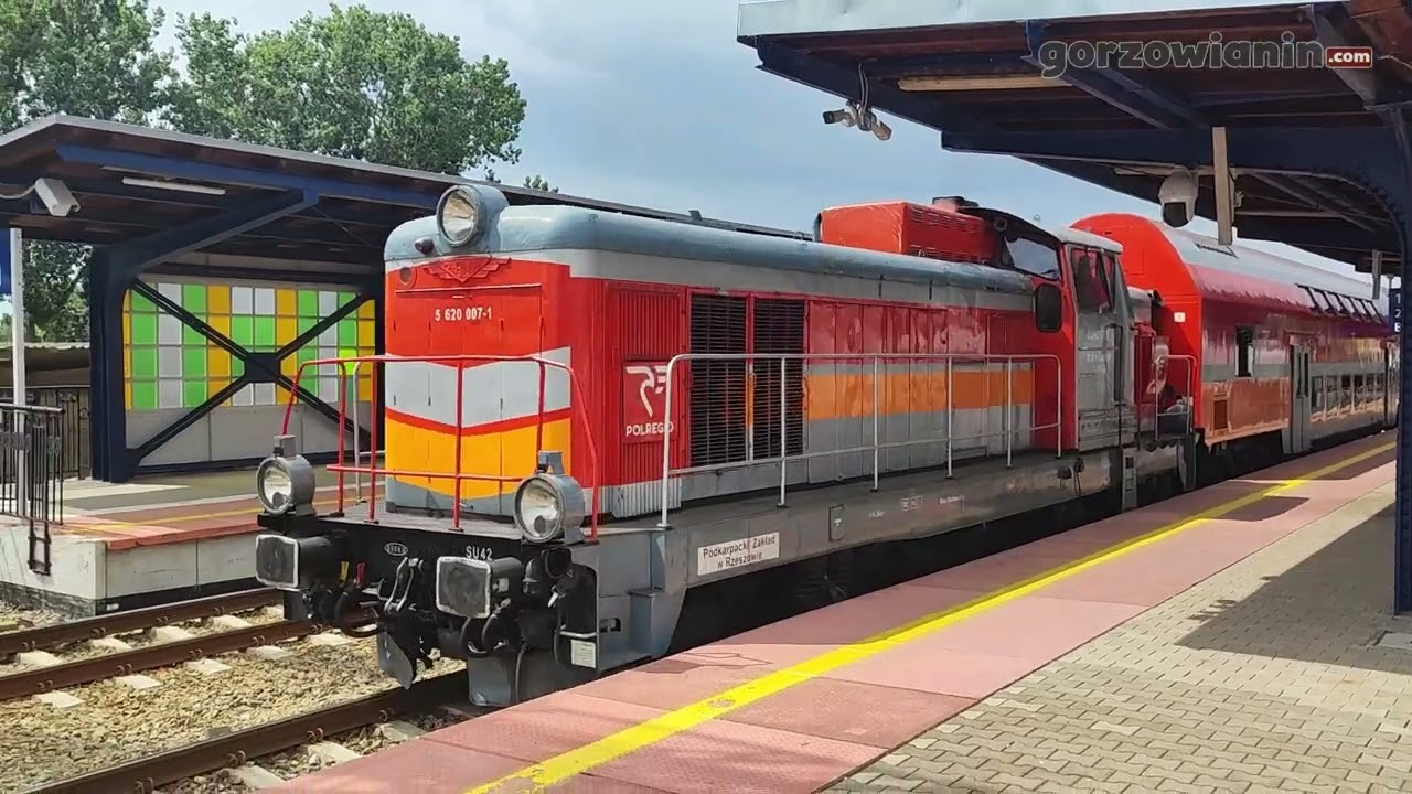 Głębokie rezerwy Polregi. SU42-509 + bmnopux na trasie Kostrzyn - Gorz&oacute;w - Krzyż.