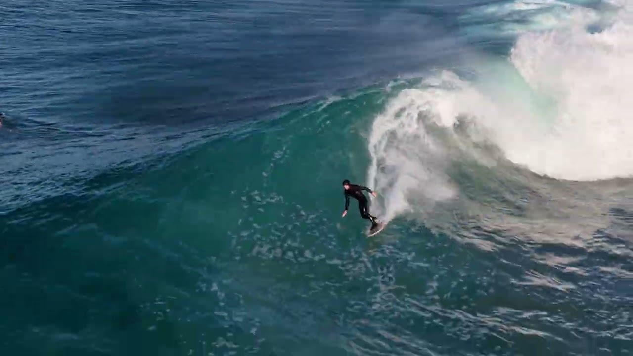 Blacks South Swell