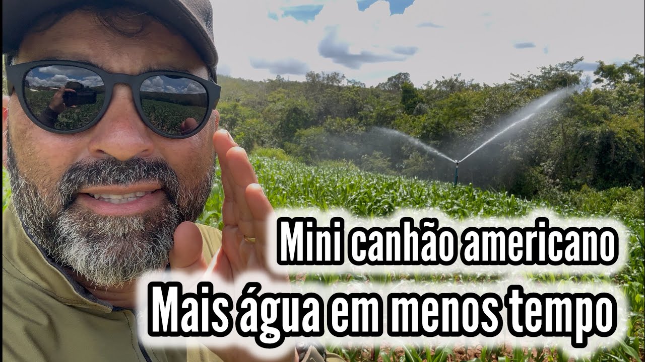 PORQUE EU APOSTEI NO MINI CANHÃO AMERICANO