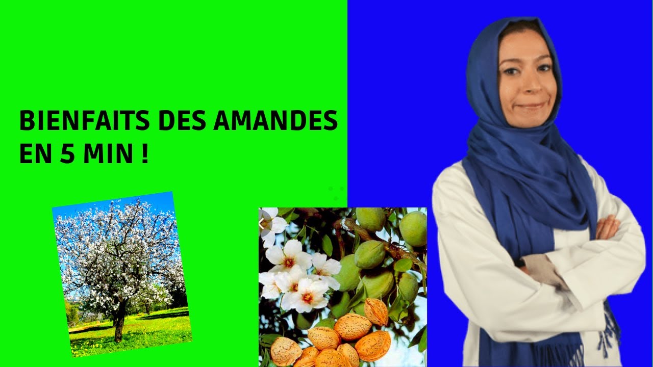 Bienfaits des AMANDES en 5 min !