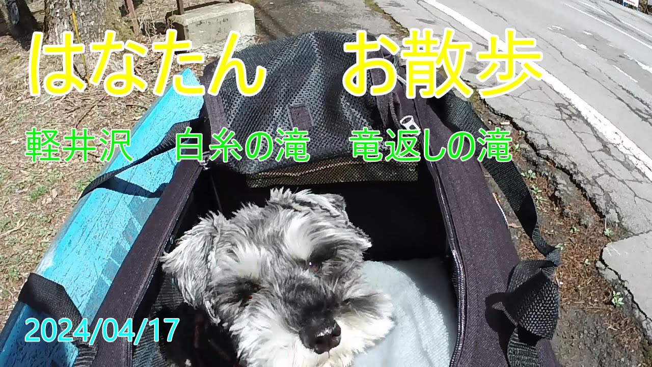 軽井沢　お散歩　白糸の滝/竜返しの滝