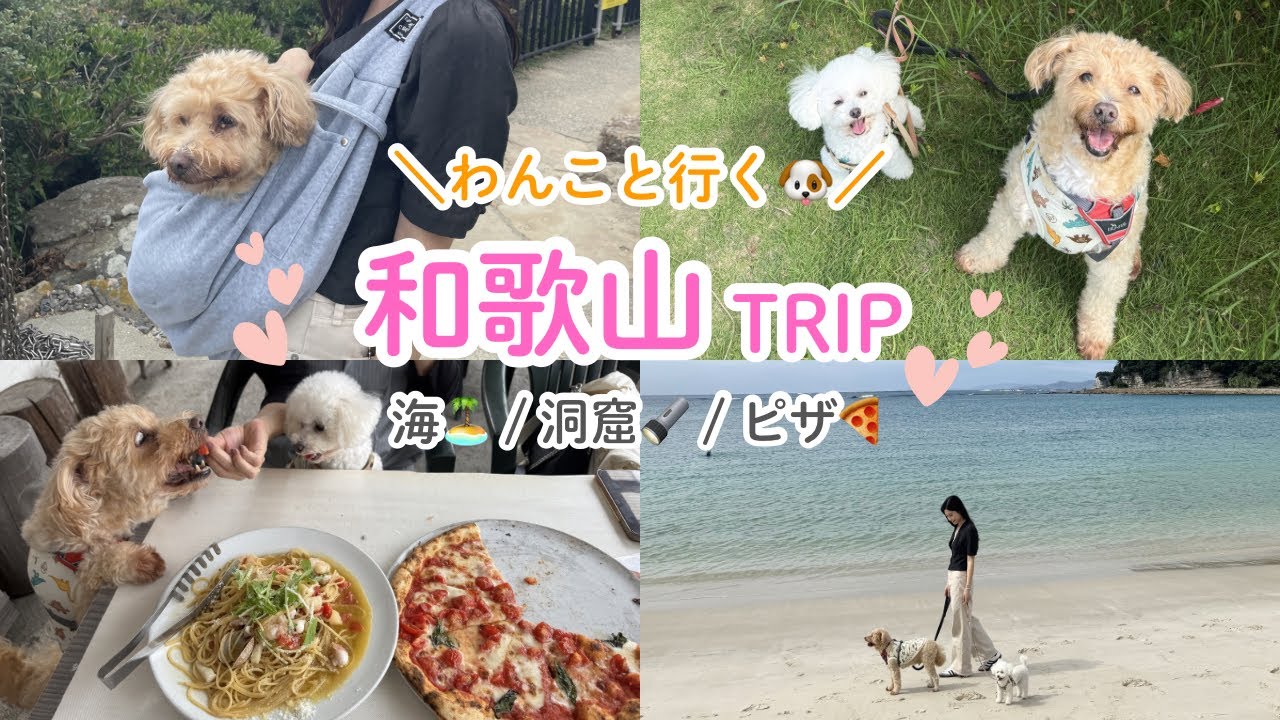 【愛犬と行く】和歌山旅行1泊2日！〜1日目Vlog〜