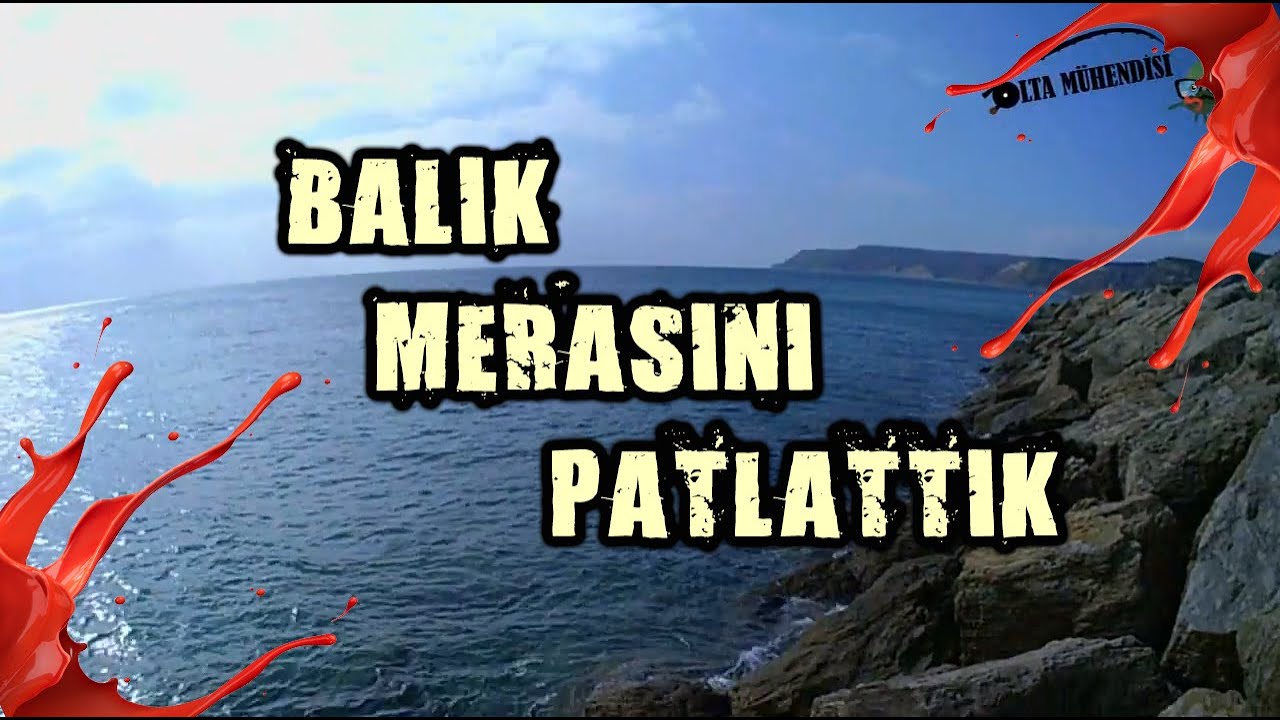 LRF Aksiyonu ve Harika Balık Merası 