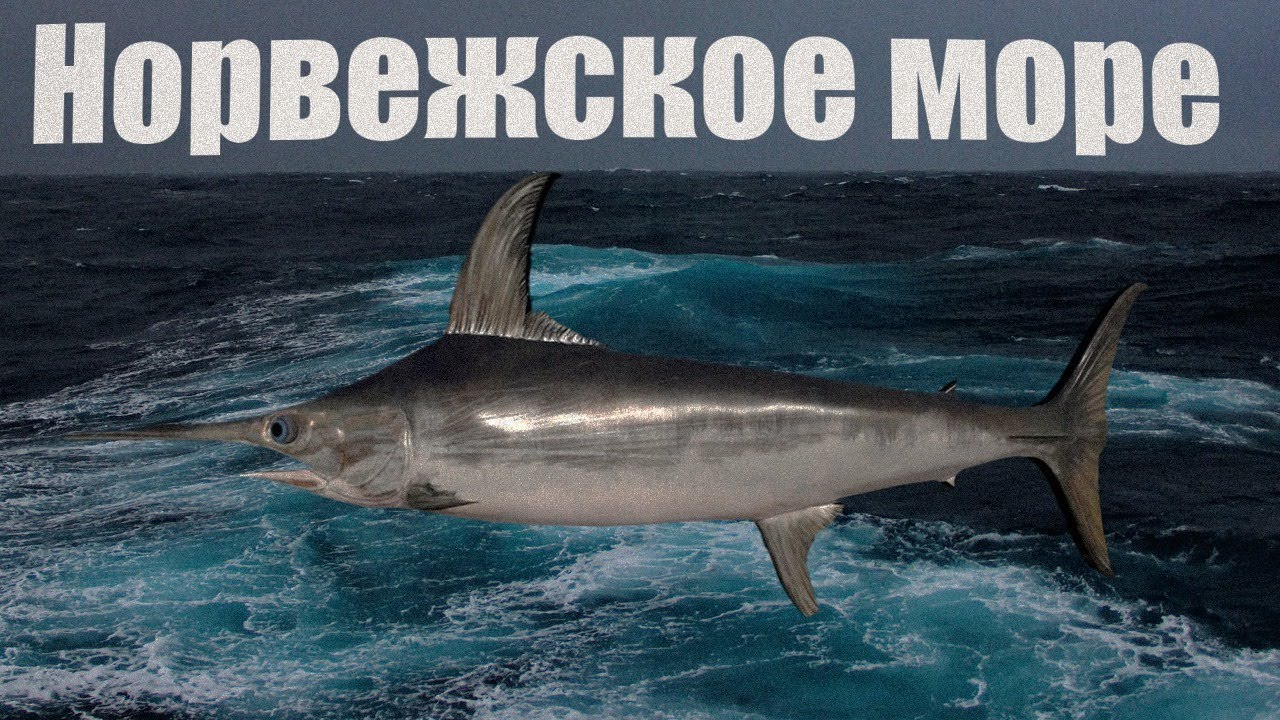 🔴  Фарм серебра на 6000 катушки для Медного оз .  !💲Рулетка с джекпотом, шанс выиграть 100 золота! 💲