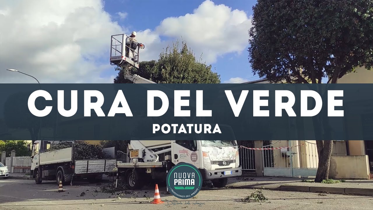 NUOVA PRIMA - POTATURA - Cura del Verde
