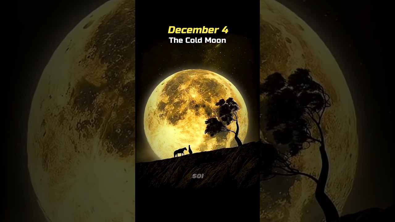 The crazy space events in december 2025 💀🥳 #Shorts #Science #Space #Astronomy #Moon