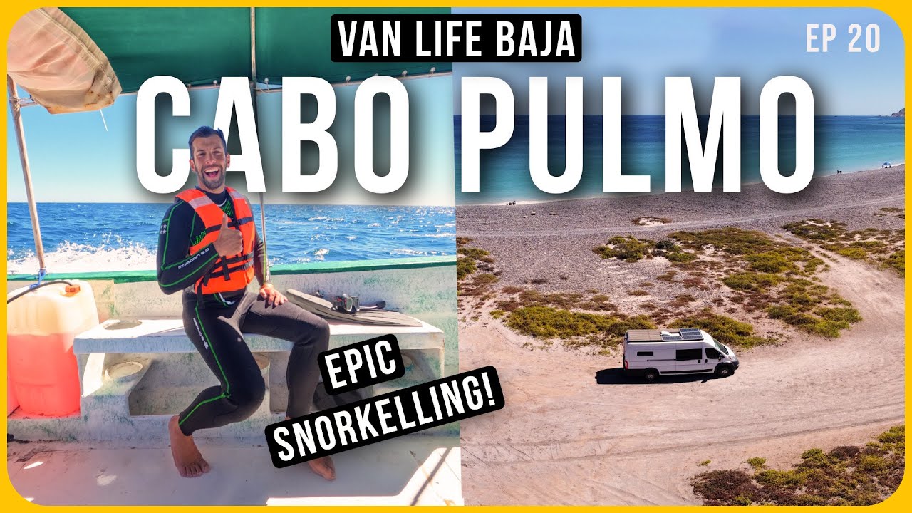 🦈 BEST SNORKELLING IN BAJA! | CABO PULMO NATIONAL PARK | VAN LIFE MEXICO | EP 20