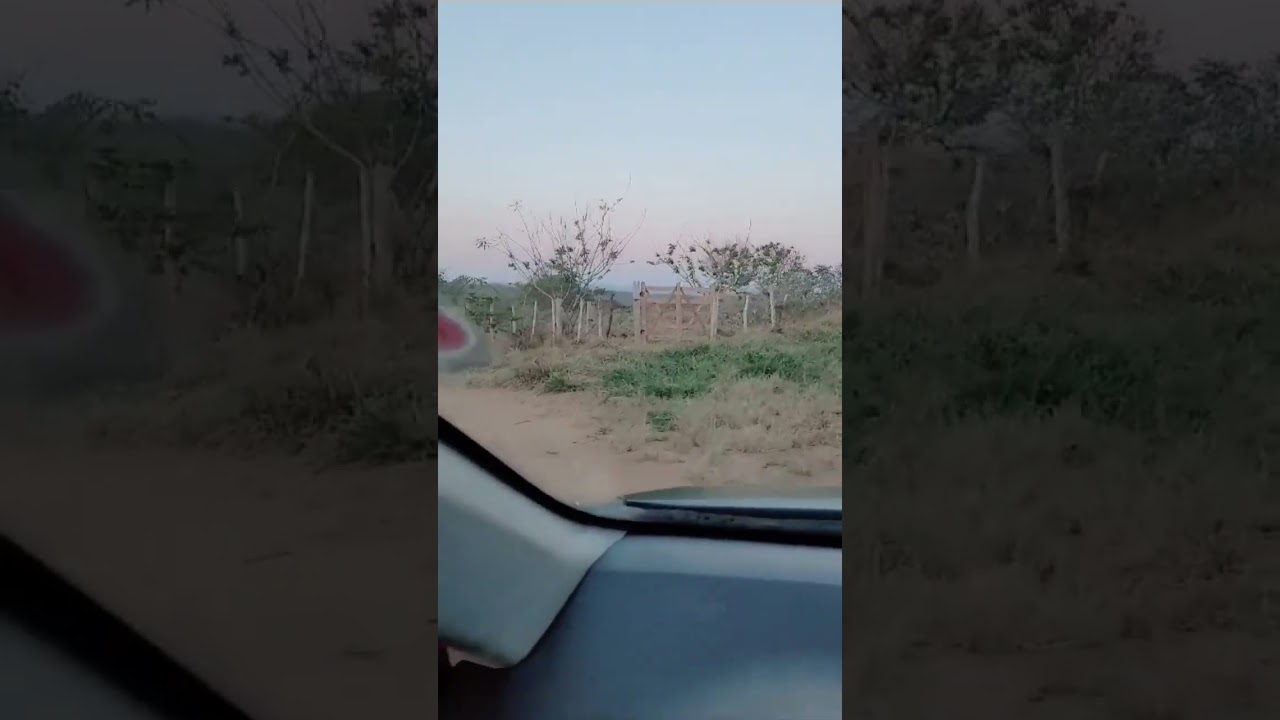 sudoeste baiano ,minhas ra&iacute;zes