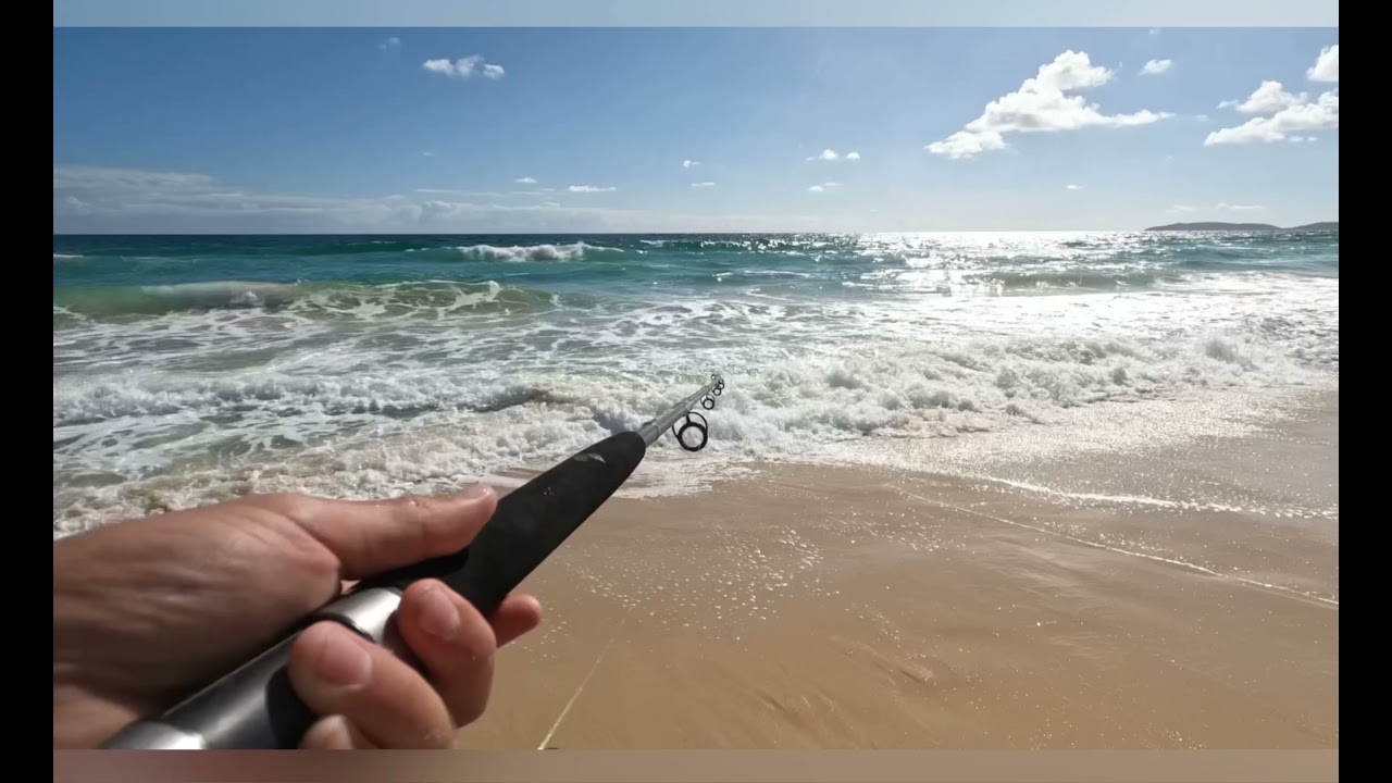 Rainbow beach fishing ( catch n cook)