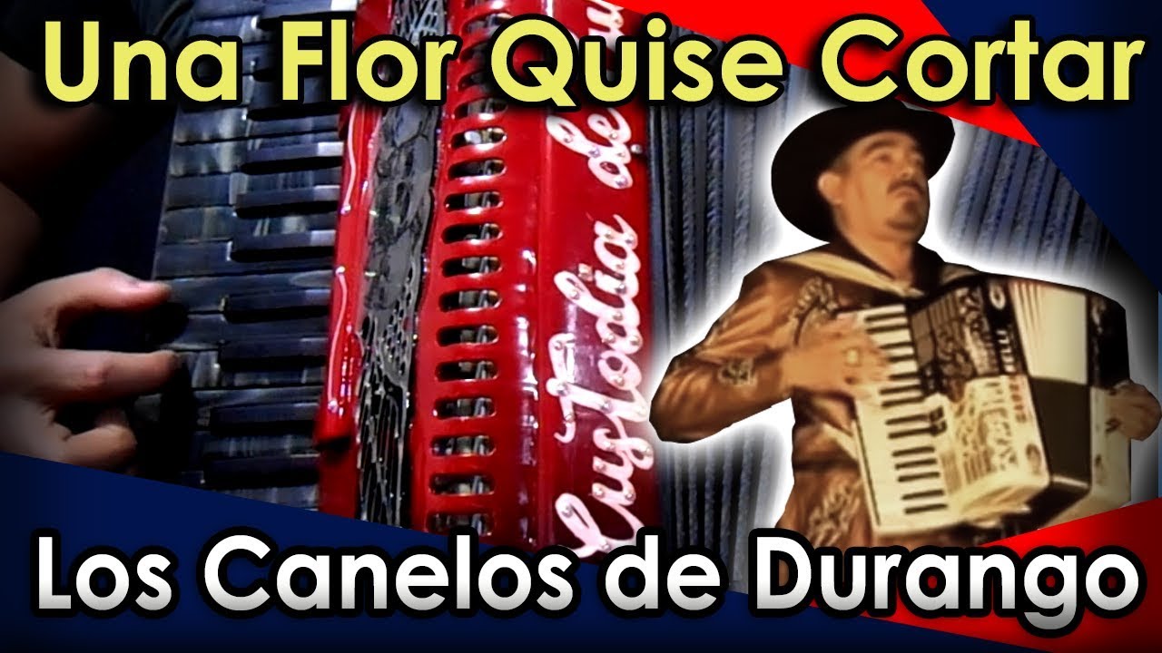 Una Flor quise cortar - Los Canelos de Durango - Acordeón de Teclas / Piano - Tutorial
