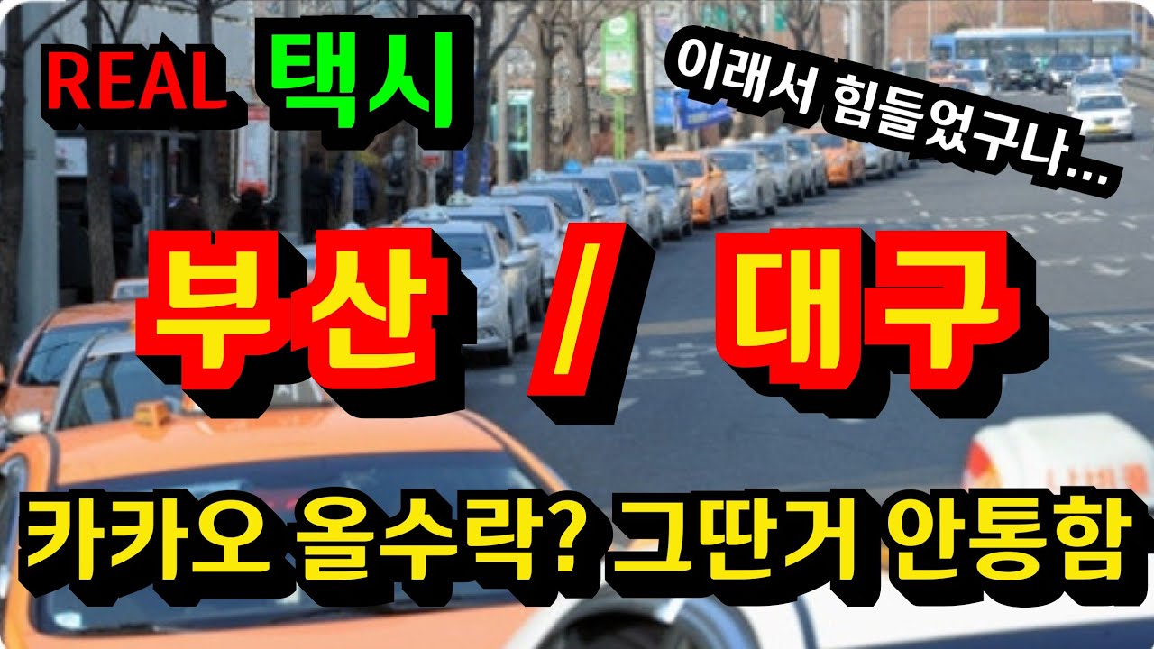 카카오만 믿었다간 발등 찍히는곳, 이지역 고매출 기사님들의 공통점을 찾았습니다. 
