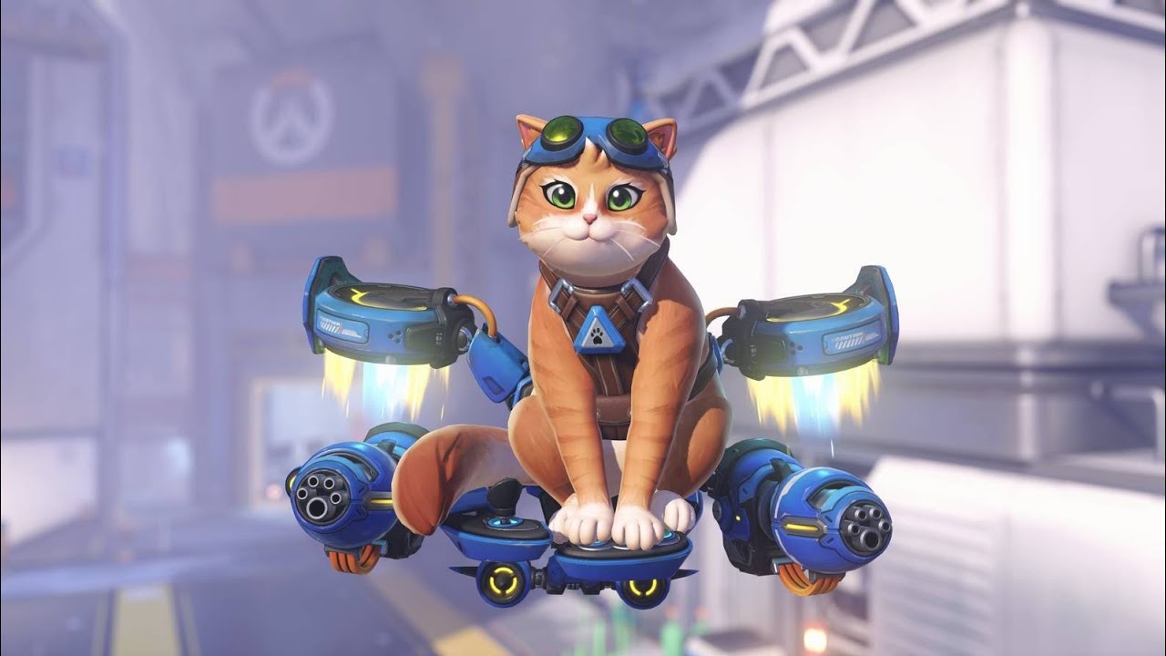Overwatch// Fika, The Cutest Kitty ( Jetpack Cat