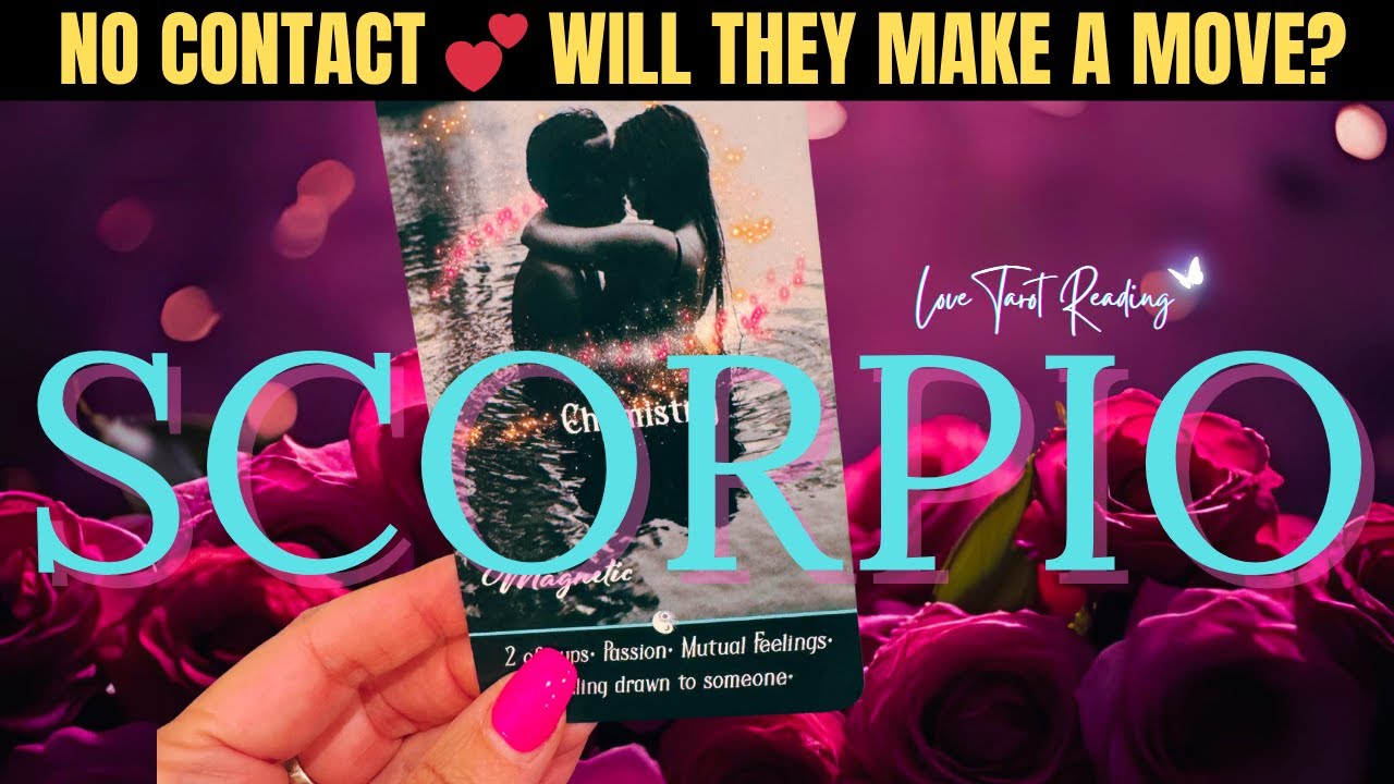 SCORPIO NO CONTACT UPDATE 💕 THEY WILL CONTACT YOU FIRST #scorpio #scorpiotarot #soulmate #love #fate