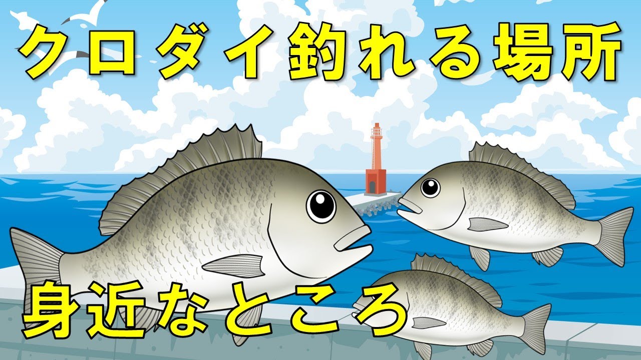 【クロダイ（チヌ）】結局は場所！釣れるポイント７選と時期と時間帯