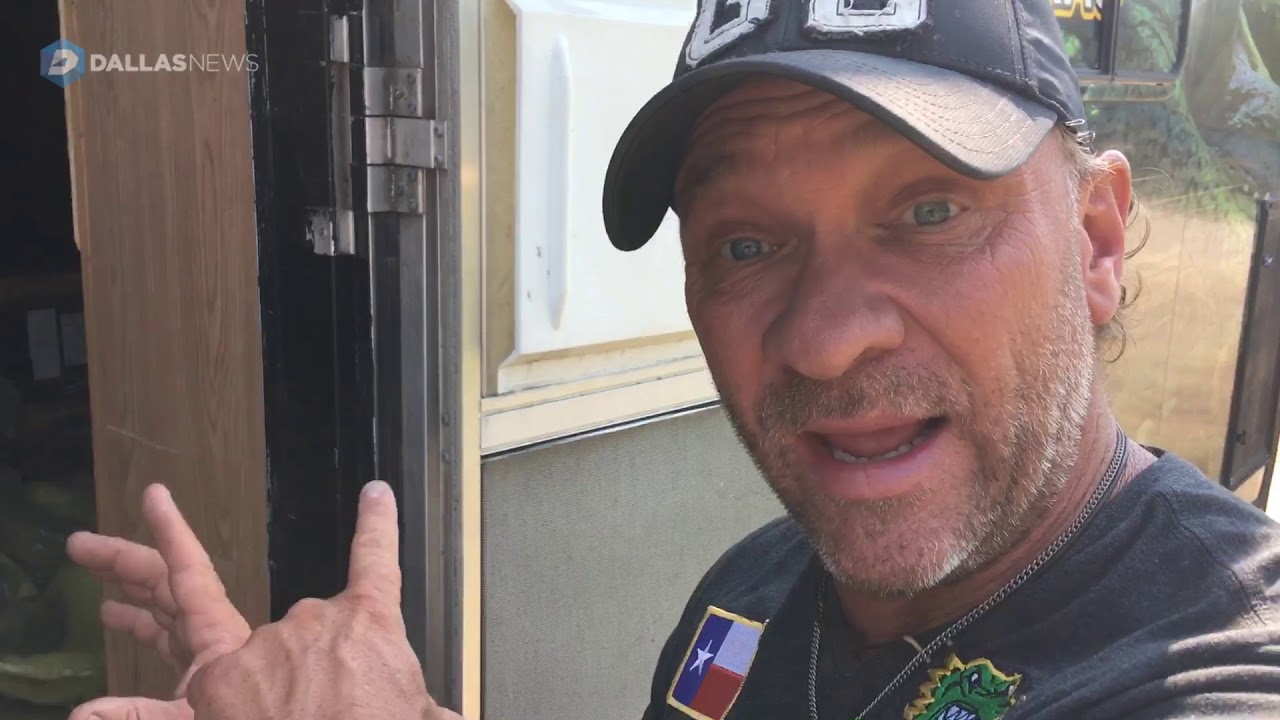 Alligator rides out Harvey in a trailer