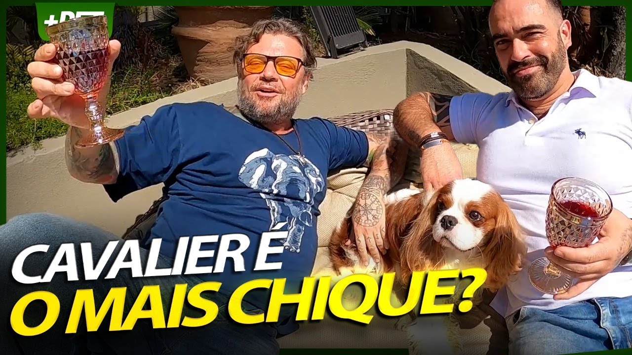 CAVALIER KING, O CACHORRO MAIS CARO DO MUNDO? | EP.2 | INSTRUÇÕES E MANEJO