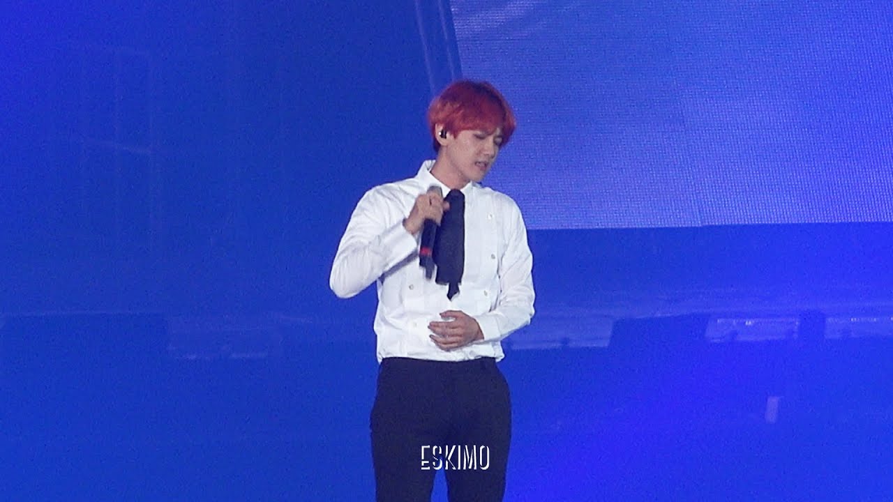 151010 EXO-Love Concert 살다가 백현 focus
