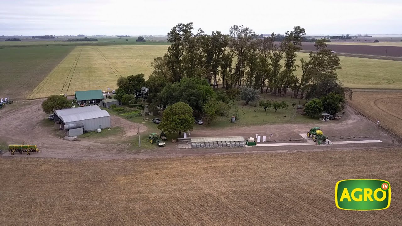 Bayer invierte para profundizar la sustentabilidad agrícola (#850 2019-11-16)