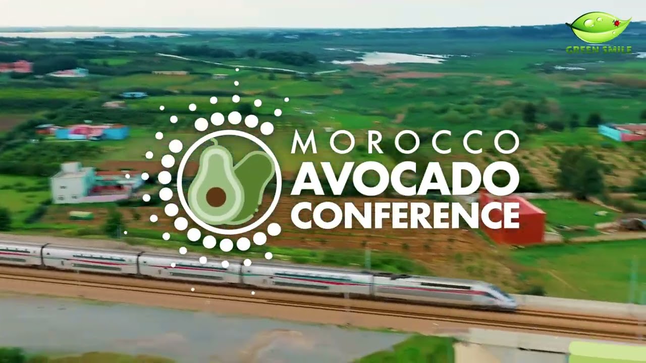 Morocco Avocado Conference 2026 | Official Launch Video 🥑