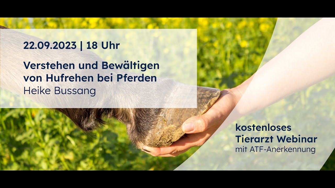 Hufrehe bei Pferden - Verstehen und Bewältigen