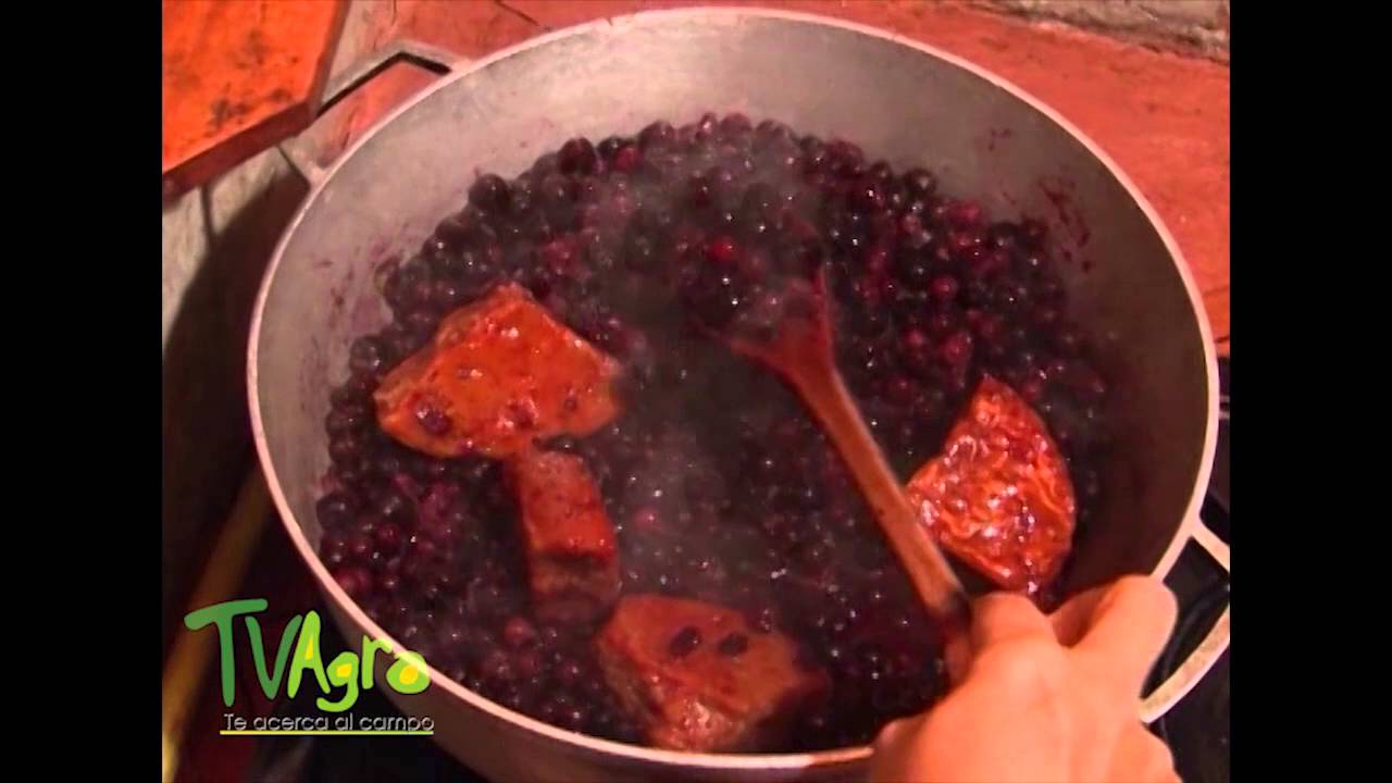 Cómo elaborar mermelada de mortiño y/o agraz- TvAgro por Juan Gonzalo Angel