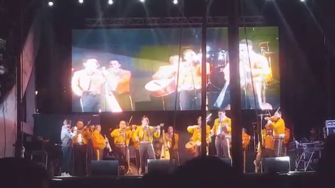 Mariachi Aguilas de Oro - Popurri de sones