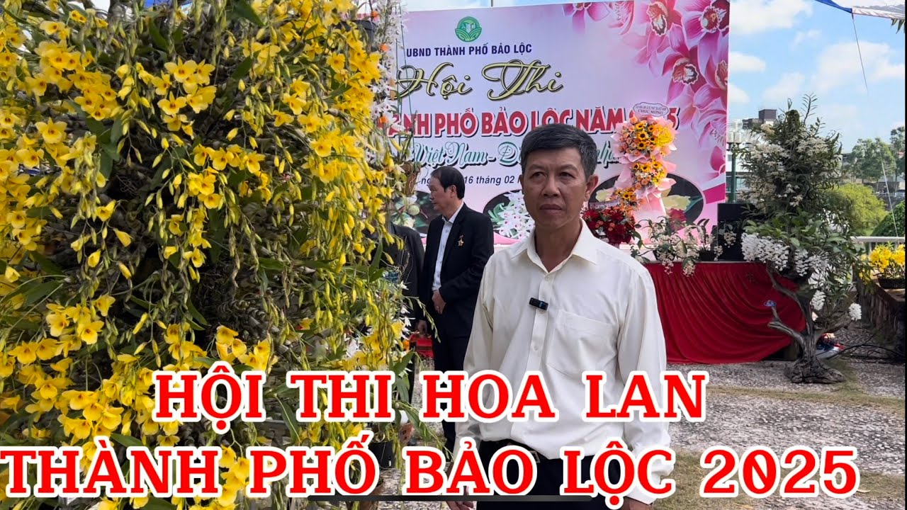 #thihoalantpbaoloc HỘI THI HOA LAN TẠI THÀNH PHỐ BẢO LỘC NĂM 2025-LAN RỪNG LÂM ĐỒNG