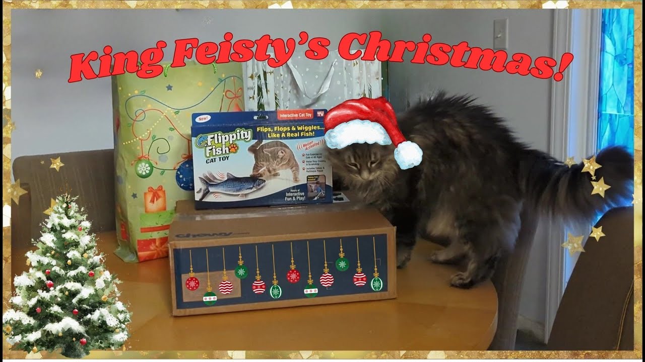 FEISTY'S Christmas special - checking out his GIFTS (PART 1)