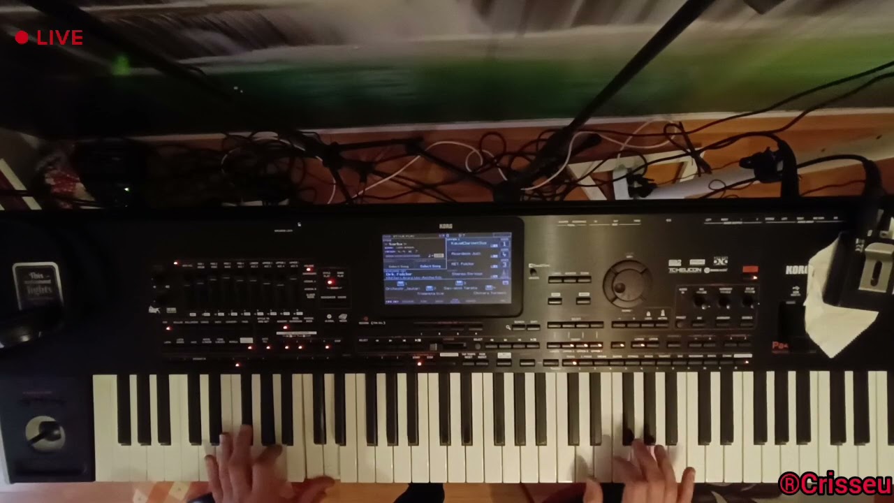 #V597 🎹🚦Luai pușca la spinare ! (Cântec de vânătoare) 😅