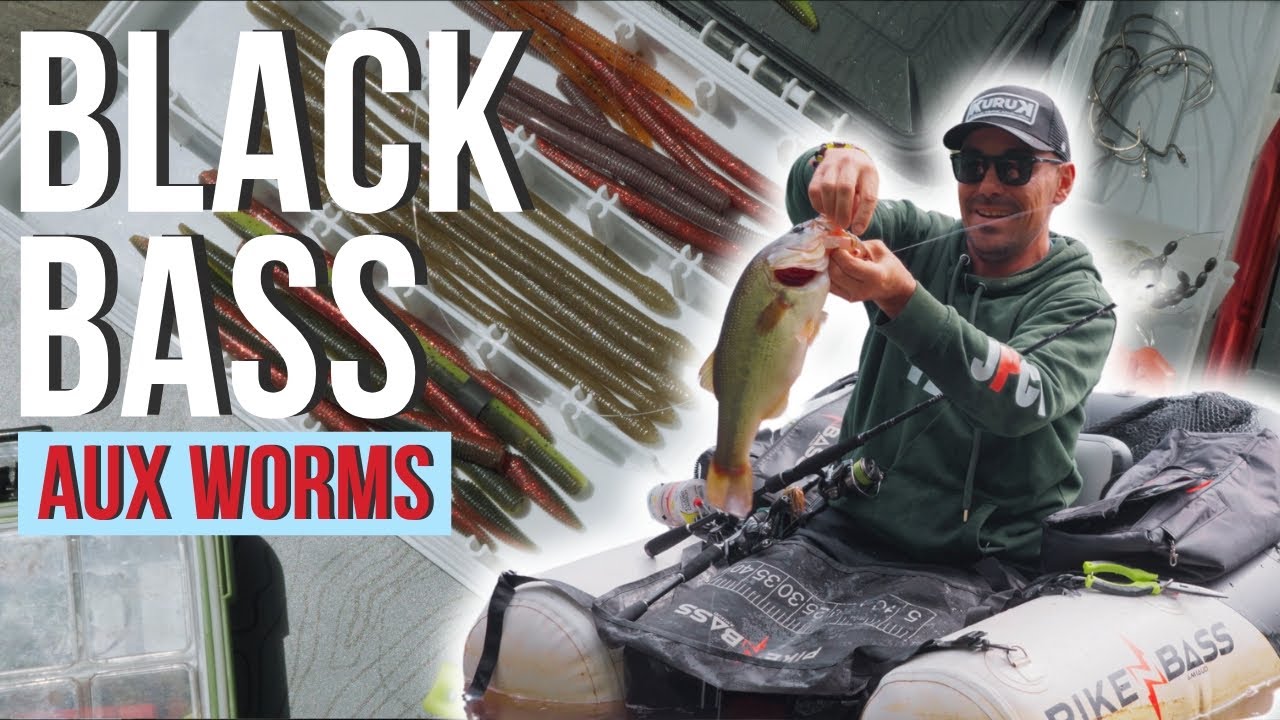 Tuto pêche du BLACK-BASS aux worms - La Minute Carna