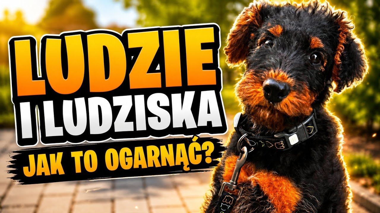 🔴 Ludzie i ludziska &ndash; nasze relacje 💬