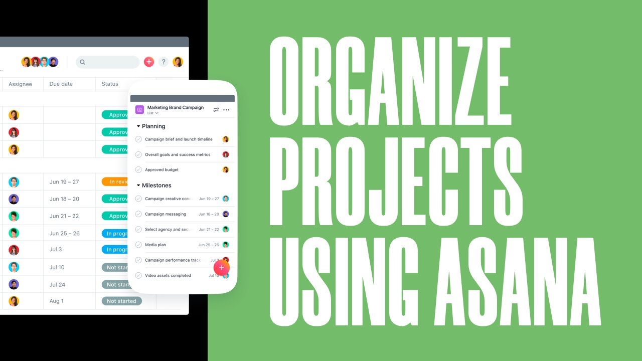 How to Organize Website Design projects for Free Using Asana