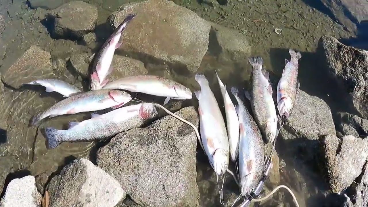 Ice House Fishing for Trout