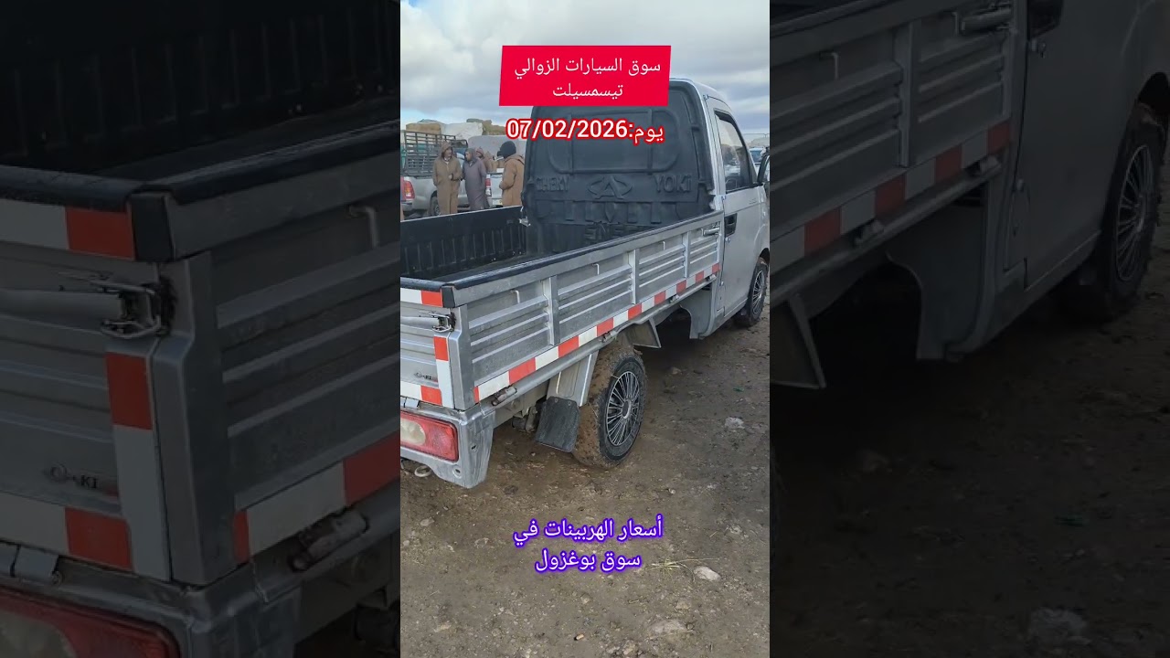 أسعار الهربينات اليوم 07/02/2026 في سوق بوغزول 