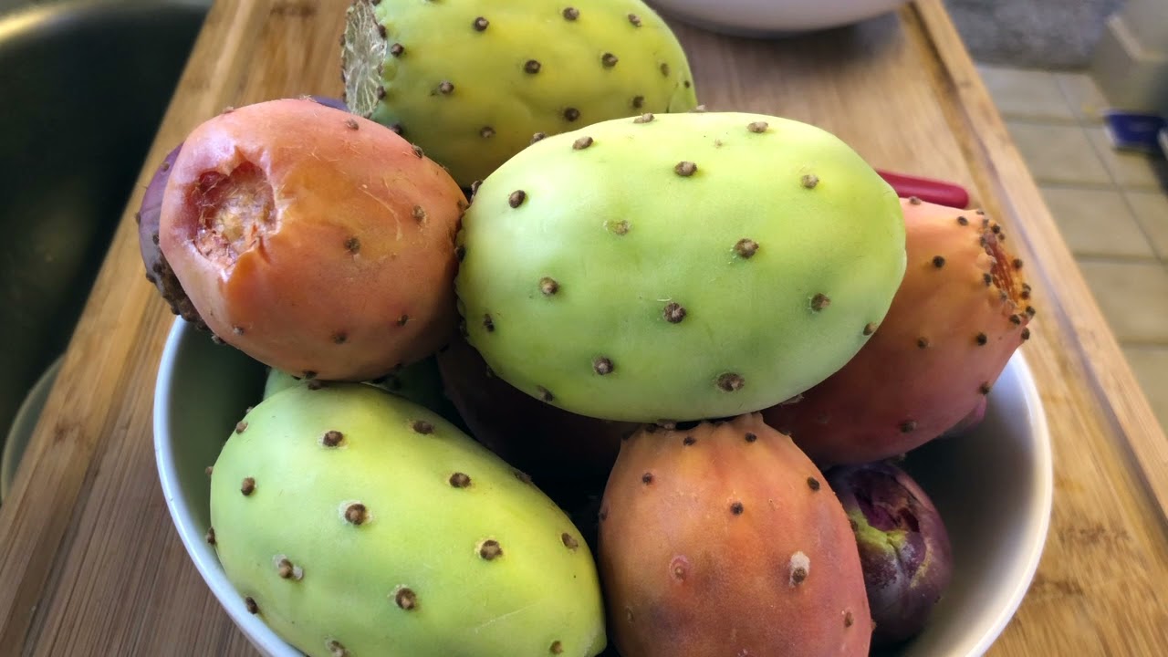 Multi Colored Prickly Pears