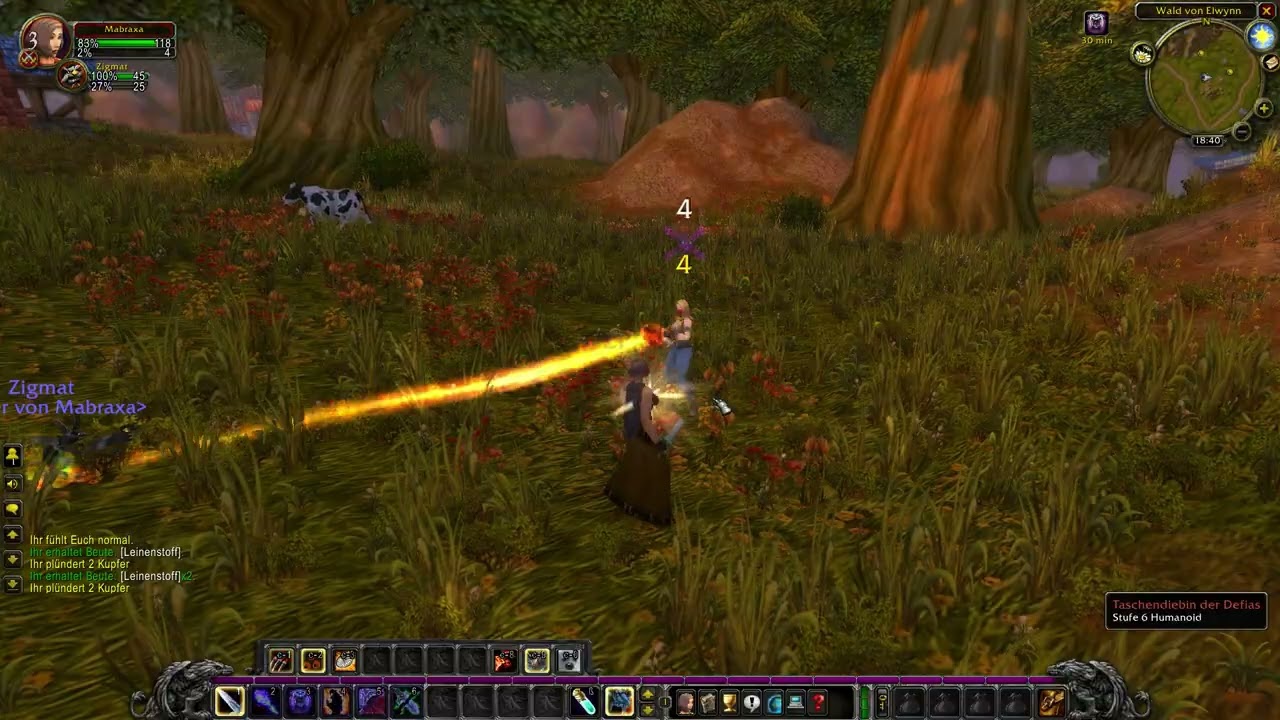 World of Warcraft Classic Hexenmeisterin Gameplay
