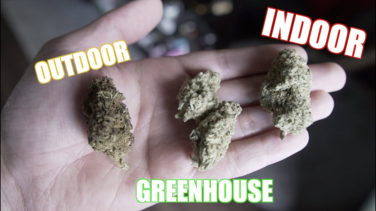 Weed: INDOOR vs. OUTDOOR