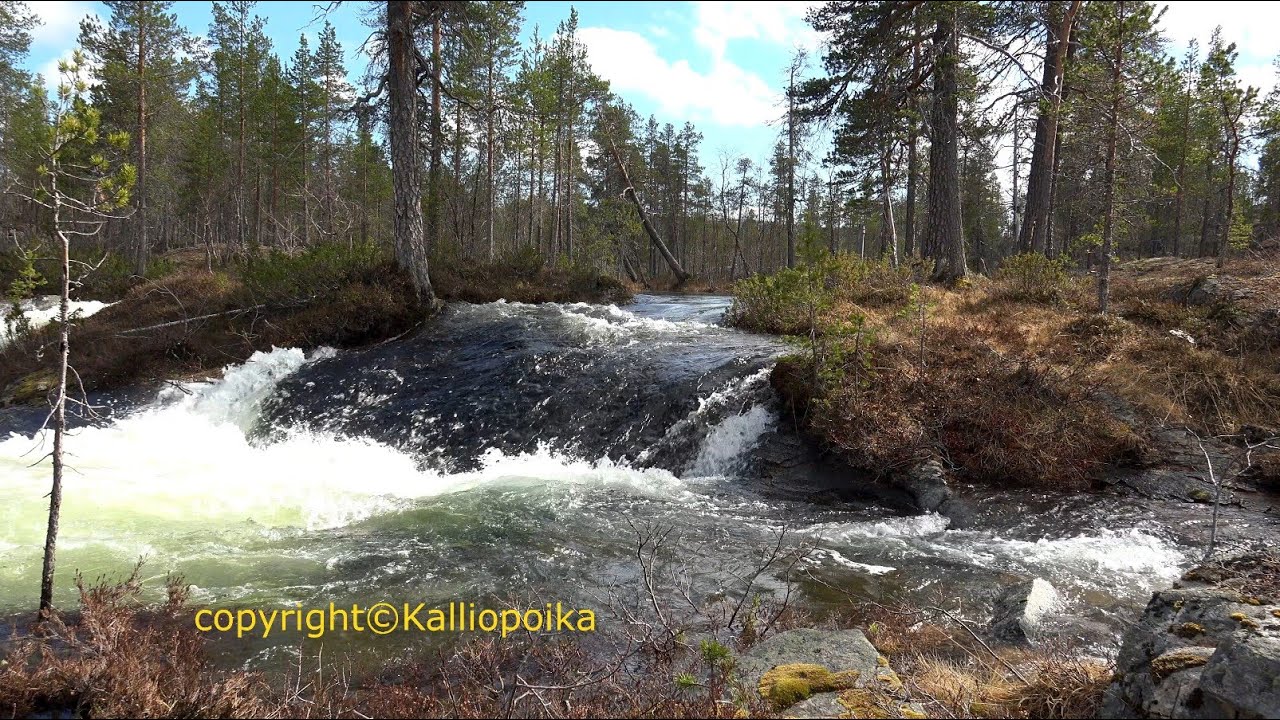 Suomujoki, Urho Kekkosen Kansallispuisto. Suomujoen tulvahuippu