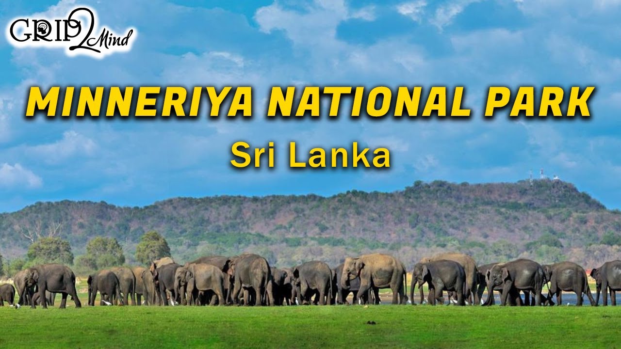 Minneriya National Park | Sri Lanka | Grip2Mind VLOG 27